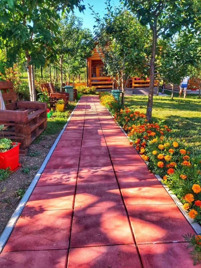 Holiday Bungalows & Food 普拉夫 外观 照片