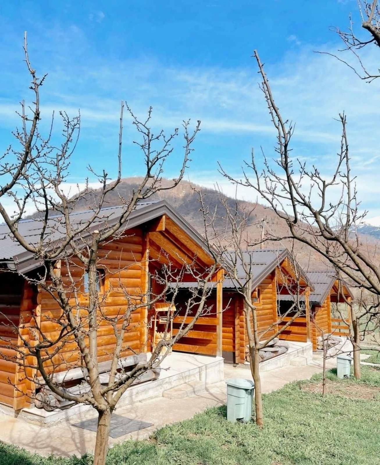 Holiday Bungalows & Food 普拉夫 外观 照片
